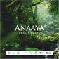 Anaaya Majestic Rose Hydration & Nourishment Combo – Head-to-Toe Skincare Essentials